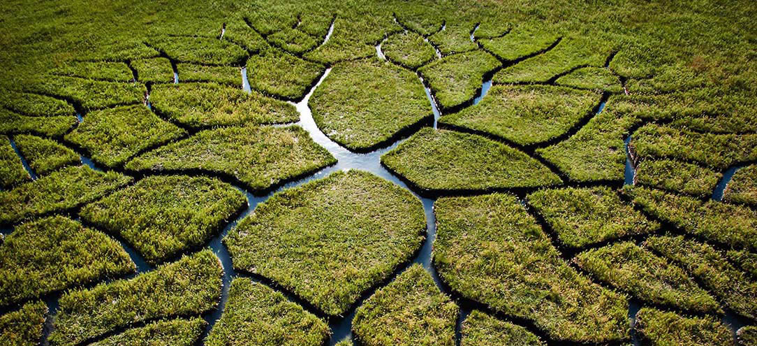 obra de Land Art