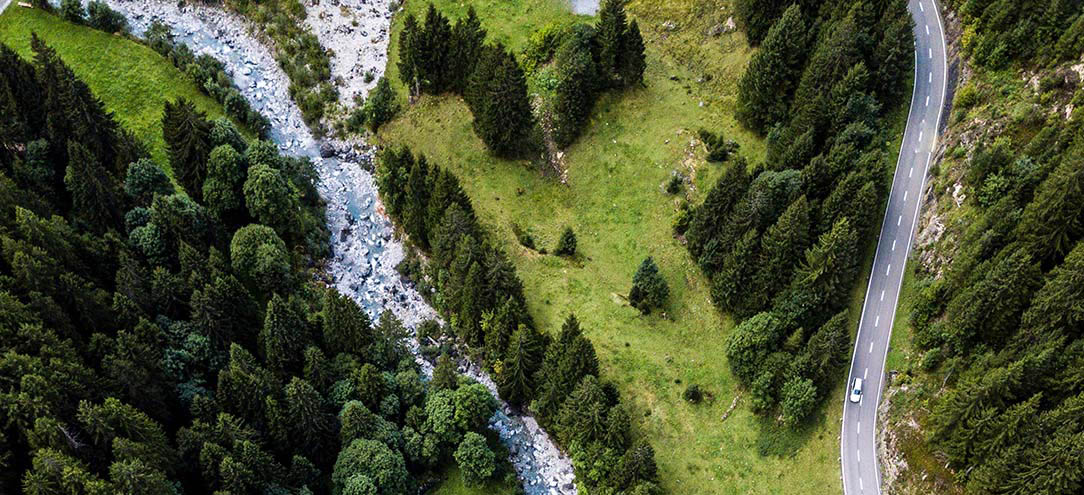 bosque con ríos desde arriba