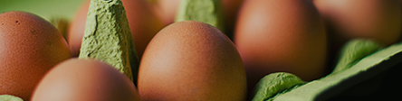 huevos